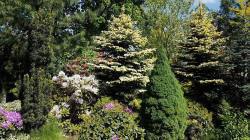 nursery of trees, shrubs of ornamental perennials